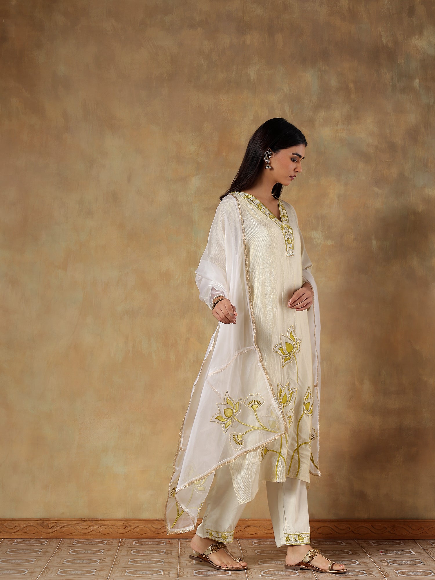 Aaryaa Tissue Silk Hand-Embroidered 3-Piece Set (Devri – D.No 1066)